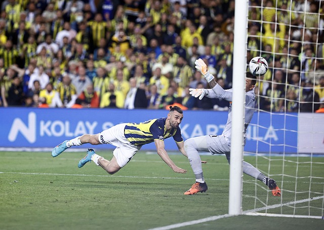 可以申請 可以申請