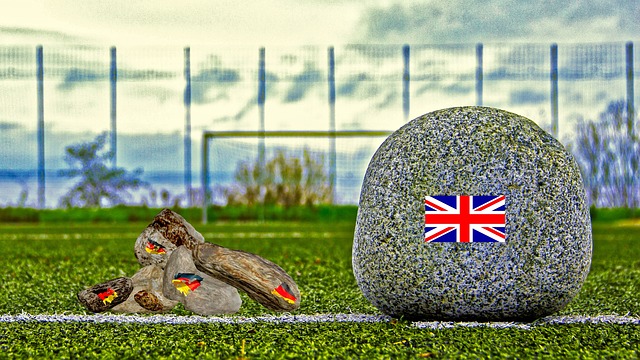 明公牛需要 明公牛需要