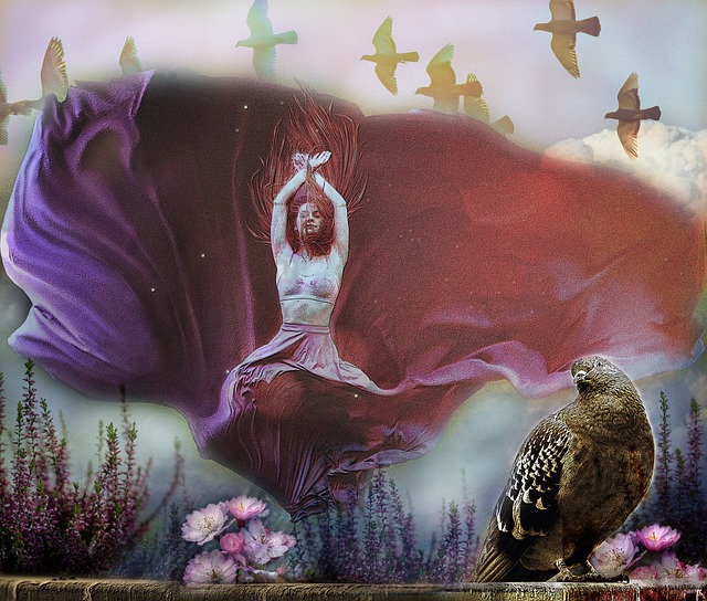 9輪比賽集 9輪比賽集