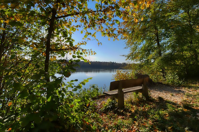 盟炙手可热 盟炙手可热