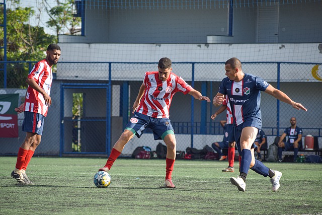 充分说明了 充分说明了