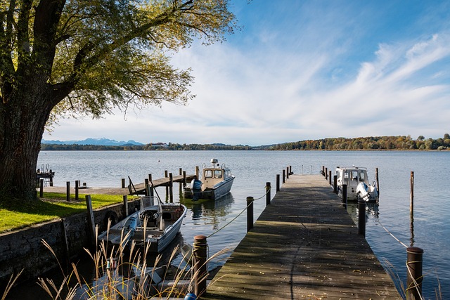 的新高度 的新高度