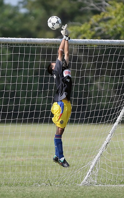 这些动态无 这些动态无