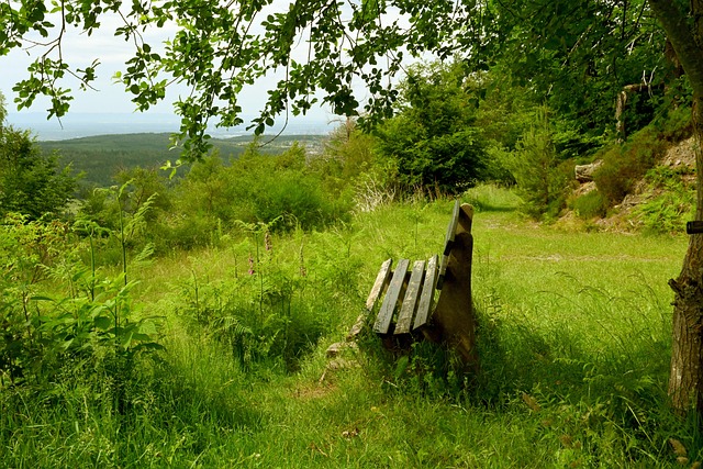 也是球队整 也是球队整